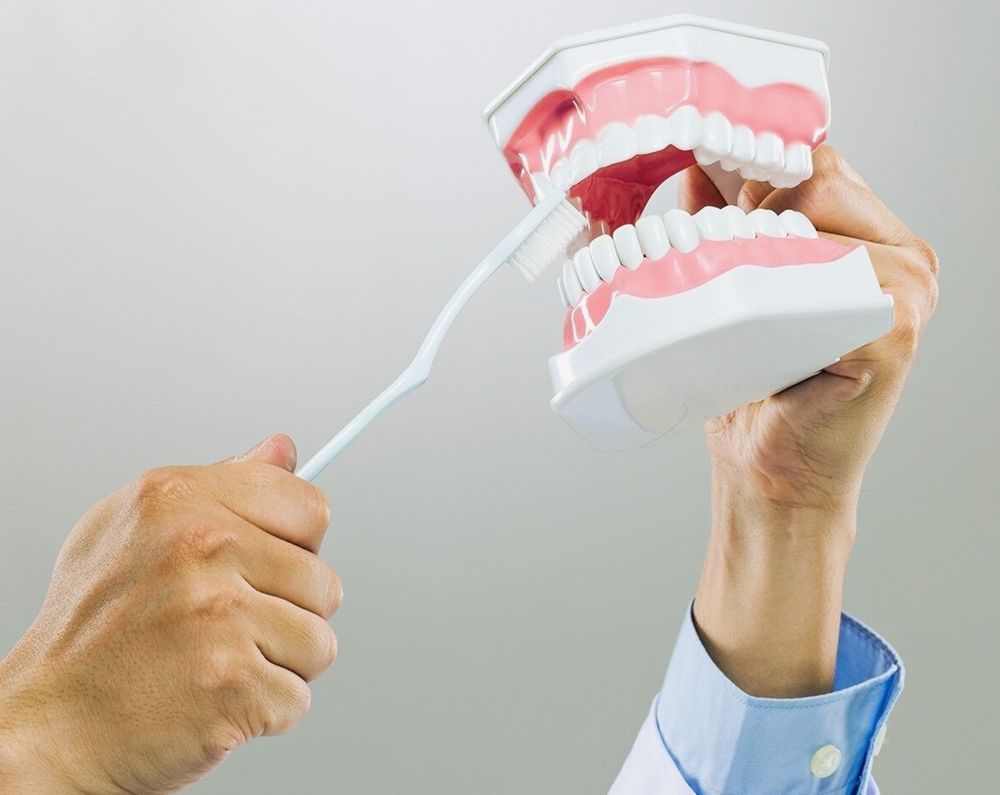 Demonstrating proper brushing technique on a dental model